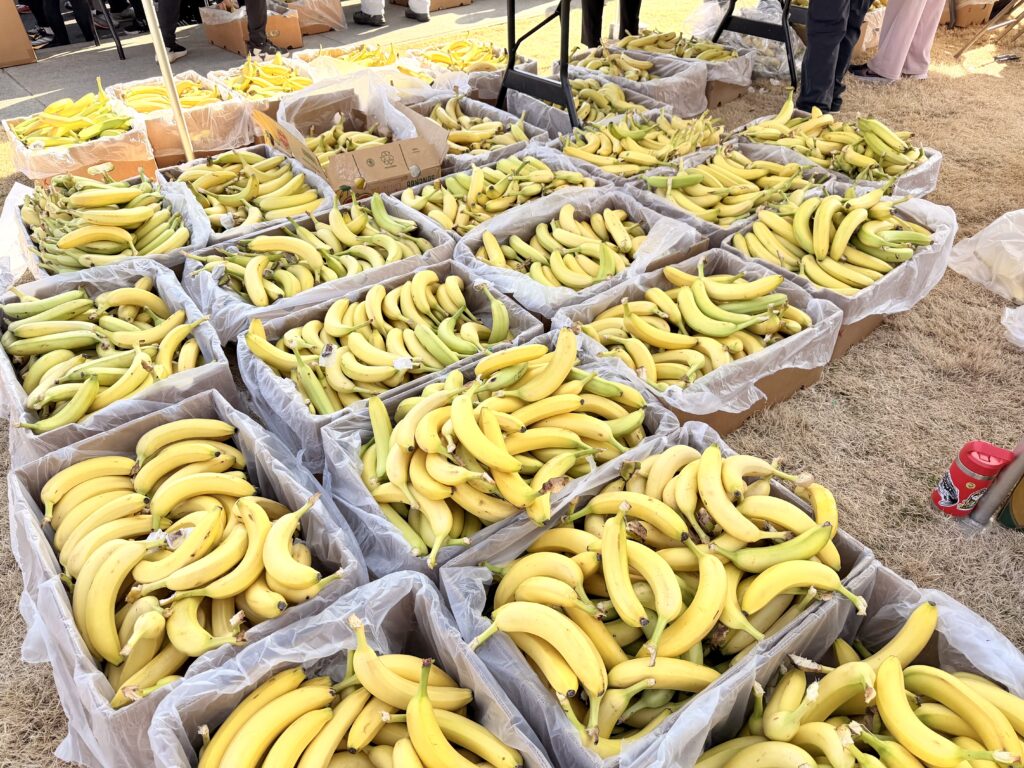 フロストバイトロードレース ずらりと並ぶバナナ