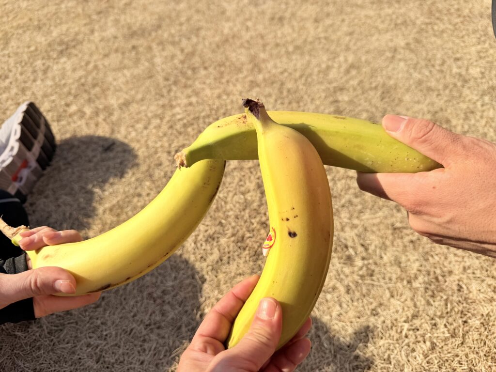 フロストバイトロードレース 完走後は配布されたバナナで乾杯