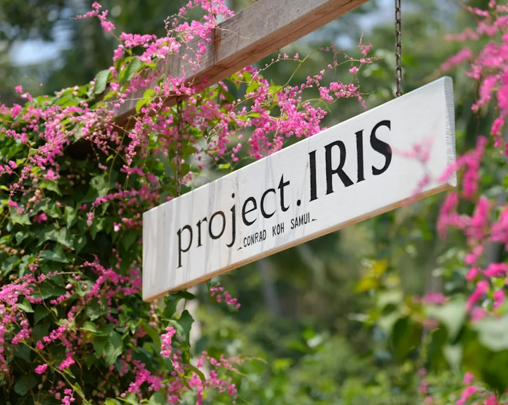 コンラッドコサムイ キッズクラブ「タートルクラブ」イメージ