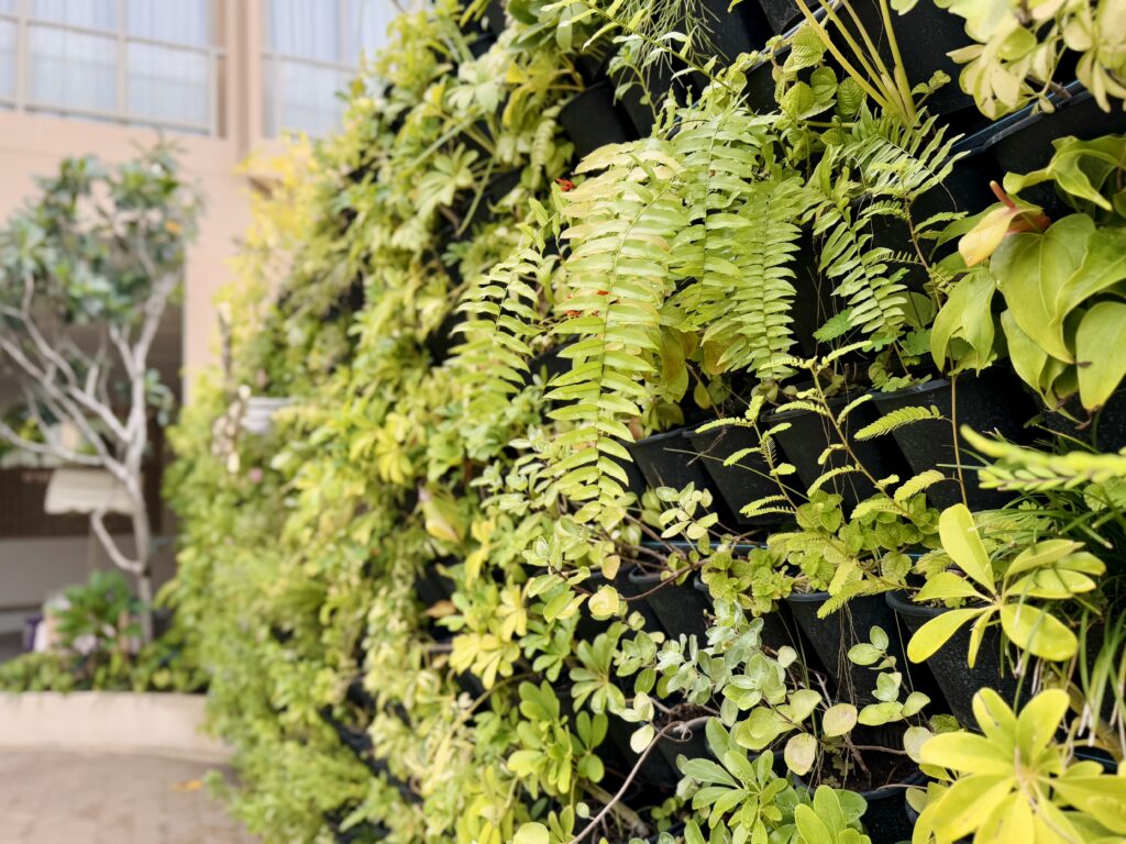 マラスカサムイ(SLH)リゾート内の様子