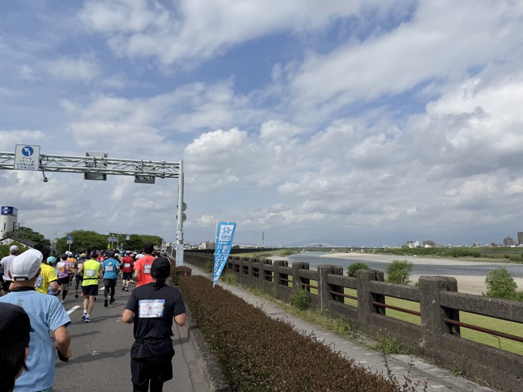 ぎふ清流ハーフマラソン 金華橋通過後を長良川と並走