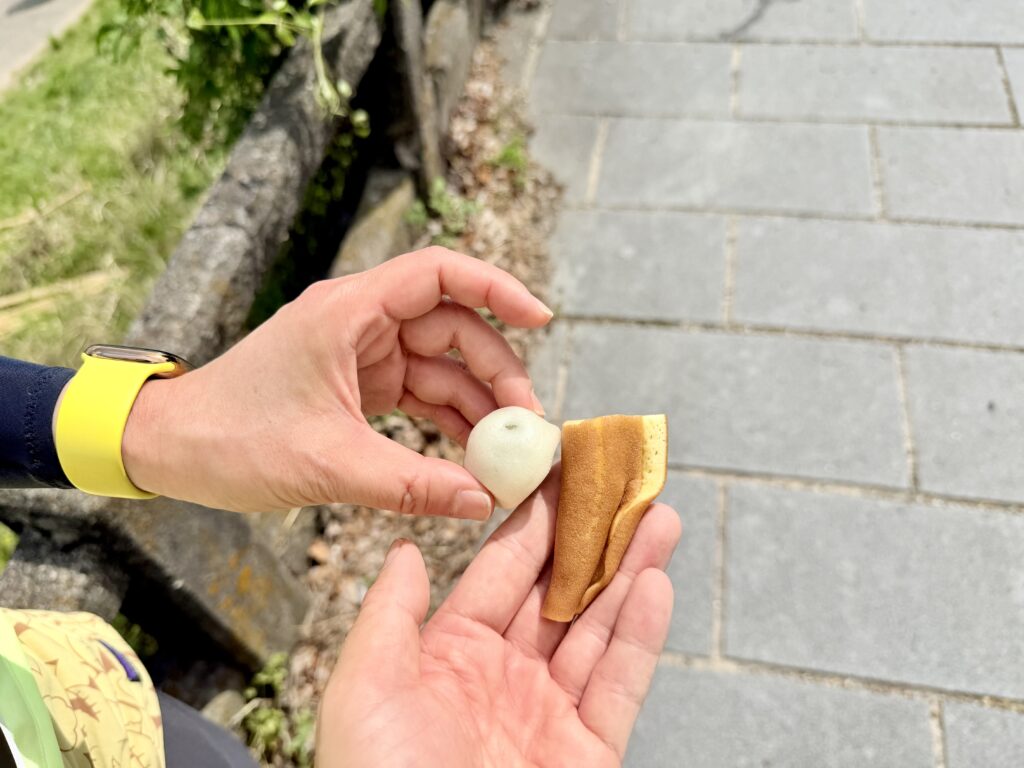 ぎふ清流ハーフマラソン 歴史を感じる河原町エリアの私設エイドでもらったお菓子