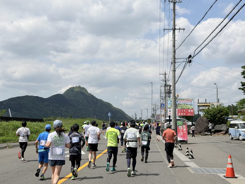 ぎふ清流ハーフマラソン 県道94号から見える岐阜城