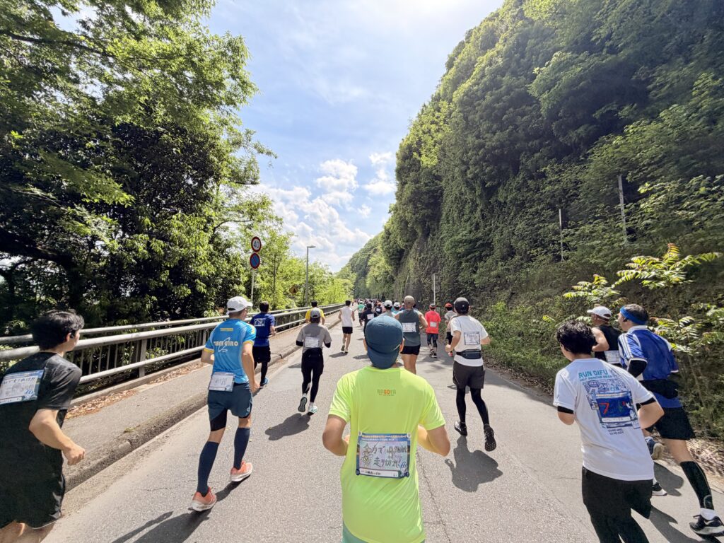 ぎふ清流ハーフマラソン 県道287号への上り