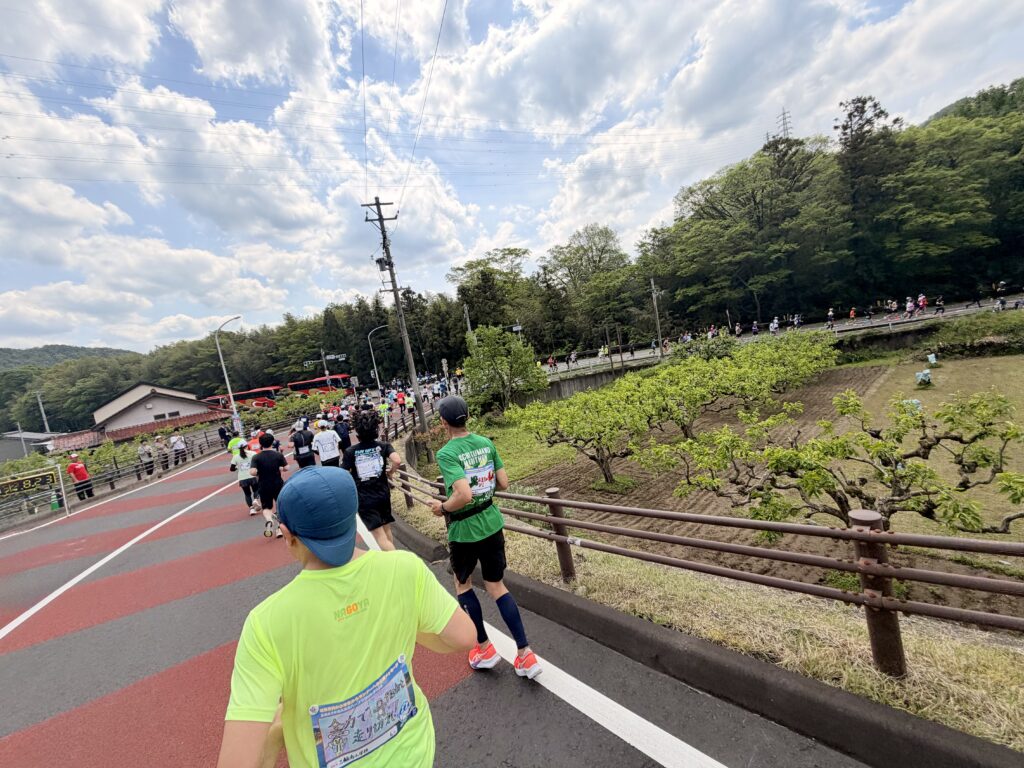 ぎふ清流ハーフマラソン 千鳥橋の下り