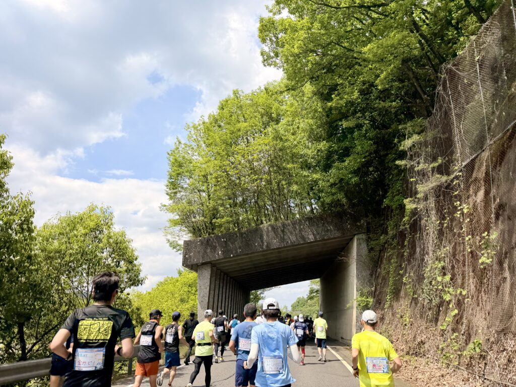 ぎふ清流ハーフマラソン 長良川沿いの様子