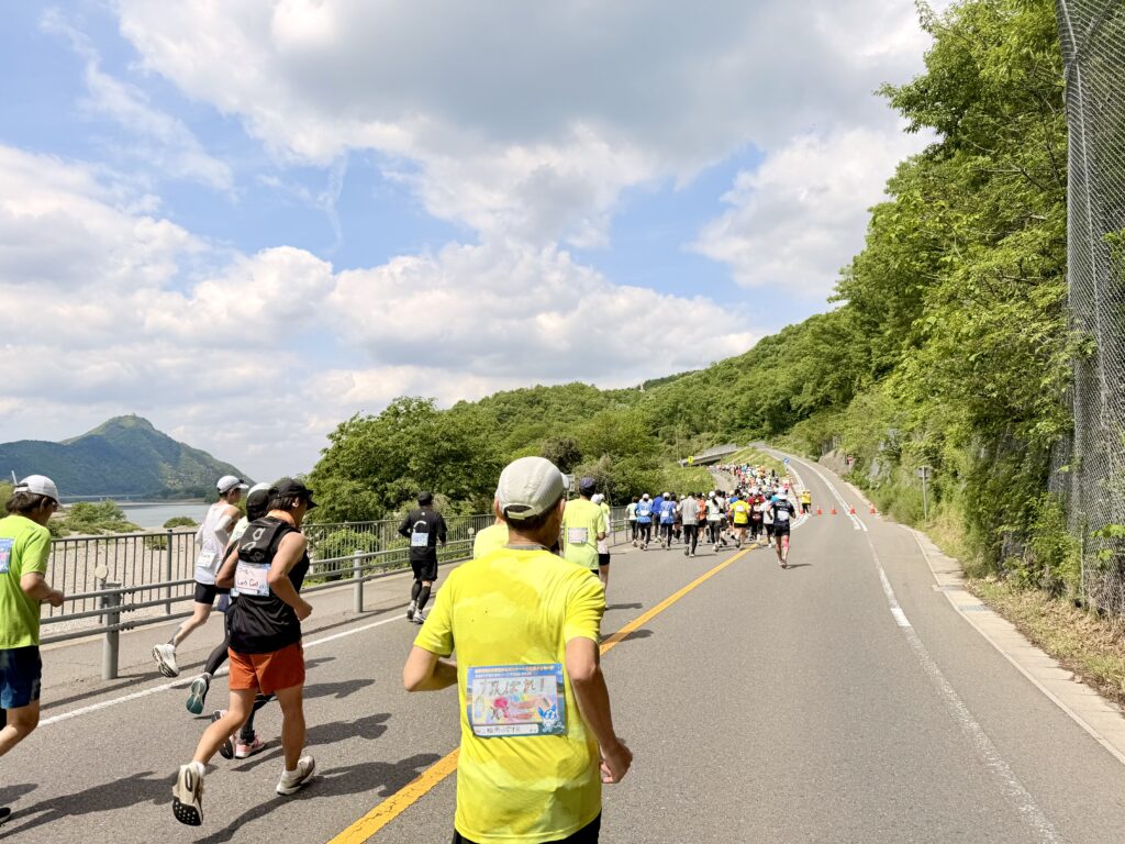 ぎふ清流ハーフマラソン 長良川沿いの様子