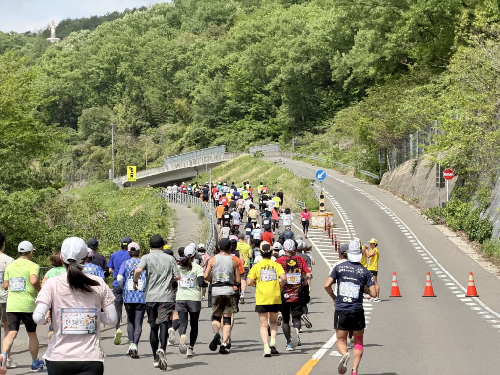 ぎふ清流ハーフマラソン 地味なアップダウン