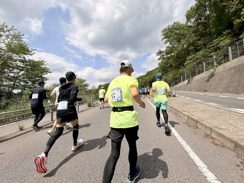 ぎふ清流ハーフマラソン 地味なアップダウンを上る