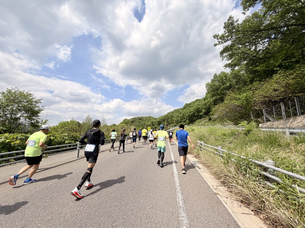 ぎふ清流ハーフマラソン 地味なアップダウンを上る