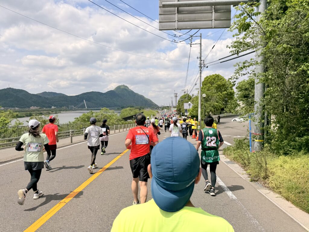 ぎふ清流ハーフマラソン 地味なアップダウンから見える岐阜城