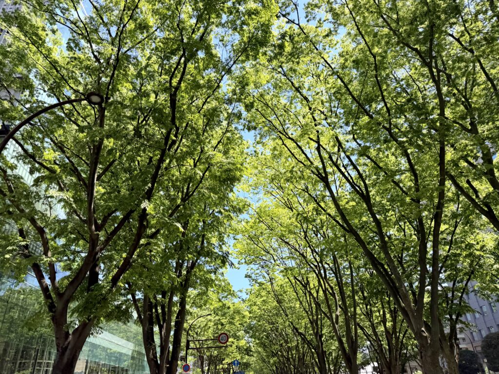 仙台国際ハーフマラソン 新緑の定禅寺通り