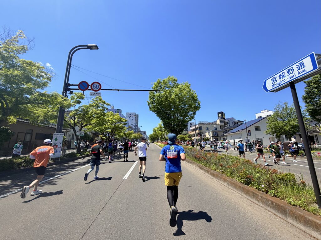 仙台国際ハーフマラソン 宮城野通りの上り