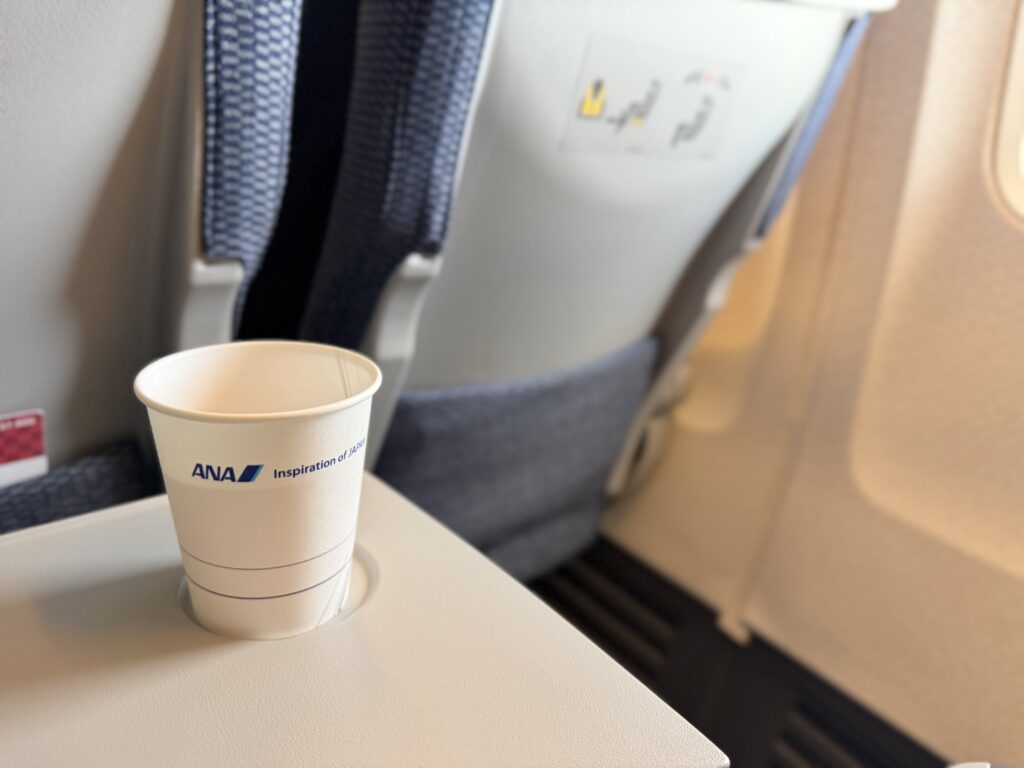 いざ羽田空港から岡山空港へ